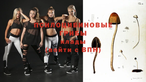 СК Ельня