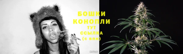 сатива Дмитров