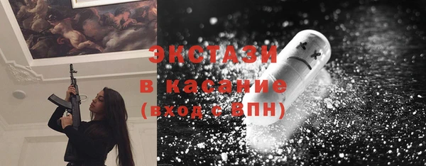 СК Ельня