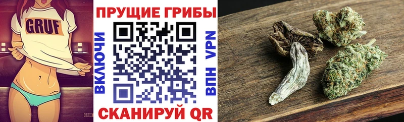Галлюциногенные грибы Cubensis Ростов