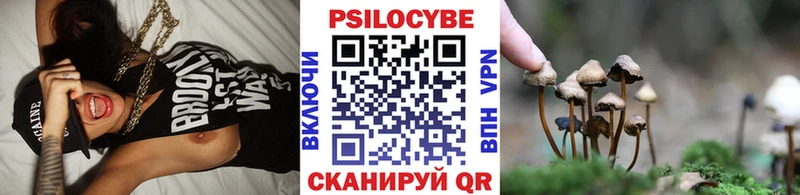 Псилоцибиновые грибы Psilocybe  Ростов 